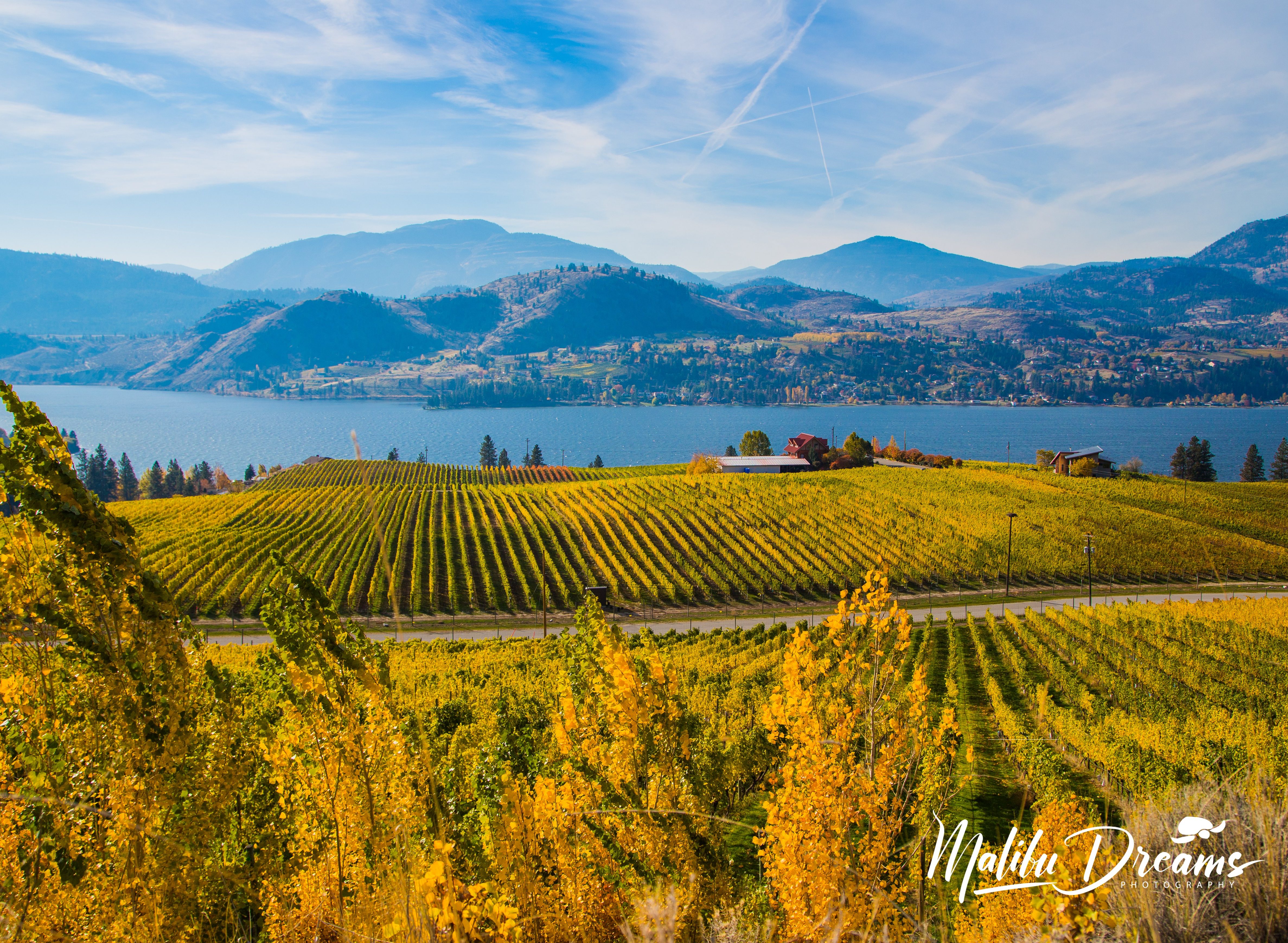Sunny lake view that overlooks stunning vineyard and fall colours.